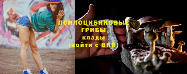 прущая мука Заводоуковск