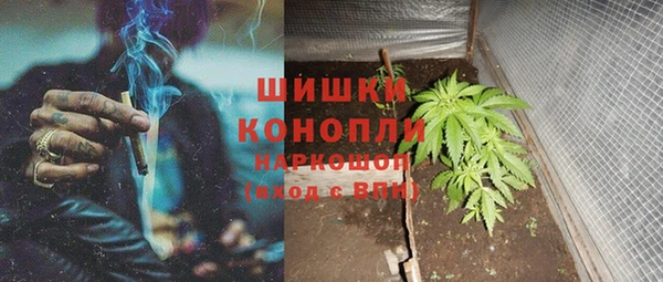 ГАЛЛЮЦИНОГЕННЫЕ ГРИБЫ Заволжск