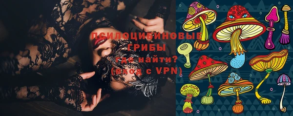 ГАЛЛЮЦИНОГЕННЫЕ ГРИБЫ Заволжск