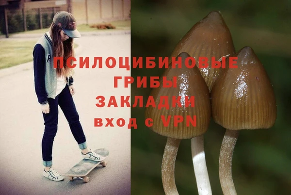 прущая мука Заводоуковск