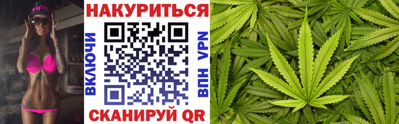 Бошки Шишки семена  Купить  Мамадыш 